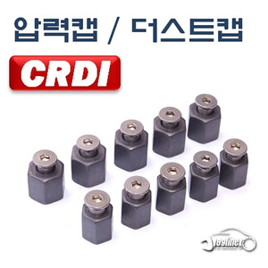 CRDI압력캡/더스트캡 보쉬-5EA 델파이-5EA 커먼레일압력캡 D-870